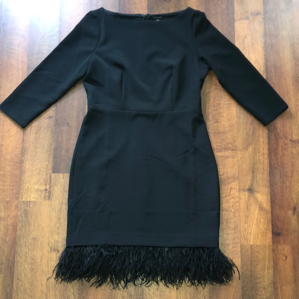 Ann Taylor Black Dress with Feathers